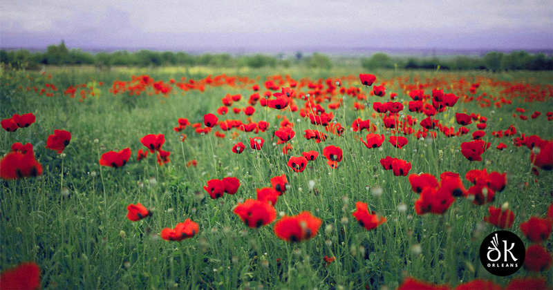 Les Pipers de la Grande Guerre